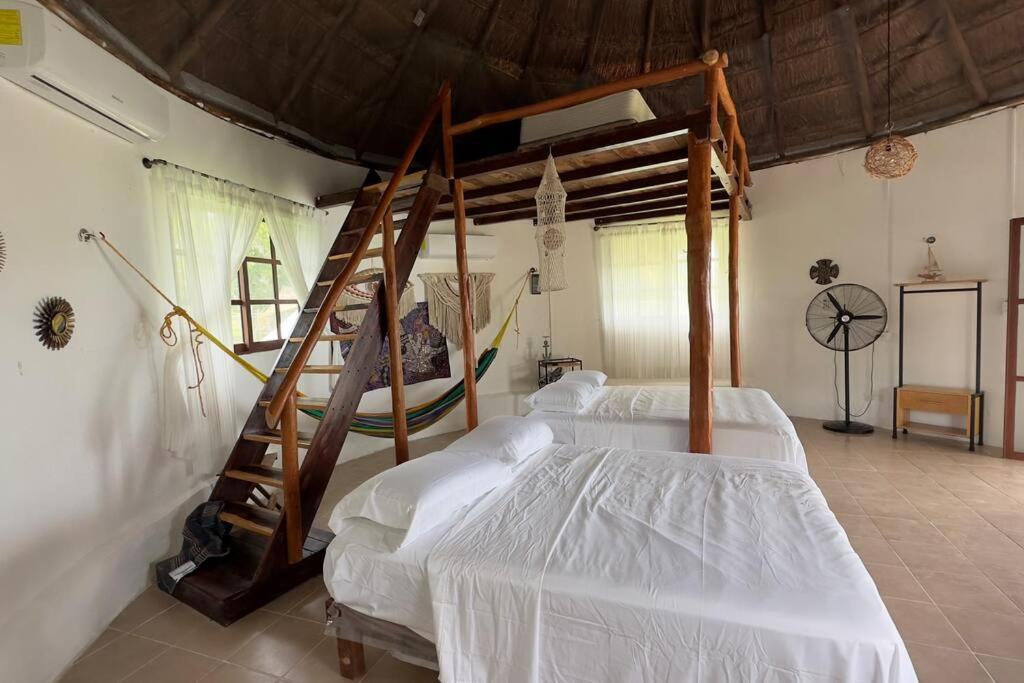 Apartmán Luigi'S Glamping Bacalar Exteriér fotografie